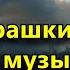 У вас мурашки по коже от музыки Поздравляем ваш мозг особенный