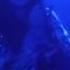 Box And The Twins Live This Place Called Nowhere 08 03 2017 Ponyhof Frankfurt A M
