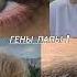 Гены сыграли злую шутку