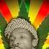 Funky Kingston