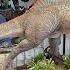 BEST DINOSAUR STATUE EVER Prime 1 Studio Spinosaurus From Jurassic Park