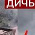 ШУШПАНЦЕРЫ В КИНО КАК ГРИМИРУЮТ ВОЕННУЮ ТЕХНИКУ