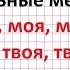 Притяжательные местоимения мой моя моё твой твоя твоё его её Упражнения