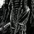 Самое лучшее аниме Berserk Phonk