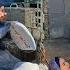 Amir S Freedom Leila S Fear And Refuge With Abolfazl S Help