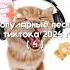 популярные песни из тиктока 2024 год Speed Up