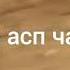Низом човандоз н файзобод аспи н файзобод чарпари шодравон Исмати Хасаловкати