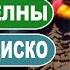 Новогодний концерт Мини диско на ускорение Елочки пенечки Наб Челны