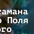 Іван Богун шлях від отамана Дикого Поля до найкращого полководця України Тетяна Таїрова Яковлева