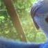 Rio 2 Roberto Song In Crimean Language