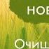 Утренняя медитация 7 минут Хороший день очищение от негатива Энергия благодарности