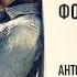 Основы фотографии Обзорное занятие 2017 Антон Мартынов