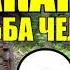 МАКАРЫЧ В ТАЙГЕ КАСАМАСИНУСЫ ЧАХОТКА ЛЕЧЕНИЕ ХОЛОДОМ ВОЙНА ПОХОД НА СТОЯНКУ 9 из