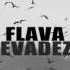 FLAVA Evadez Audio