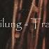 HEILUNG Traust Lyrics Translation And Explanation