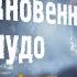 Немного мистики и волшебства история которая могла бы случиться только в новогоднюю ночь