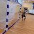 Тренировка вратарей МФК Витэн Орша Goalkeepertraining Futsal минифутбол вратарь беларусь Sport