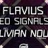 Premiere Flavius Mixed Signals TZH181