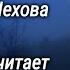 Антон Чехов Заблудшие Рассказ читает Андрей Мягков 1980