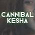 Cannibal Kesha Edit Audio