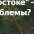 Вывоз леса в Китай будет запрещён если китайцы не начнут восстанавливать леса Pravda GlazaRezhet