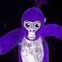 TTTPig Takes A Break To Have A Lil Dance Party Ttt Gtag Gaming Gorillatag Funny Tttpig Vr