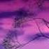 The Cure Lullaby Ivan Roudyk Deep Mix 2013