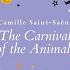 The Carnival Of The Animals R 125 XIII The Swan Live