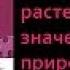 Биология 9 класс Многообразие растений и их значение в природе