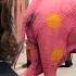 Pink Elephant Prank