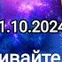 ДЕВА 15 31 10 2024 Тароскоп