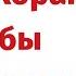 Дуа из Корана чтобы забеременеть Должен читать муж и жена каждый день