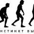 Slot Survival Instint Lyrics Слот Инстинкт выживания текст песни