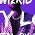 Wizkid PLENTY LOVING Instrumental