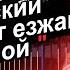 Ч 1 РУСОФОБИЯ ПЬЯН и ДЕГРАДАЦИЯ Почему Таксист убежал из Европы Чехии в Россию Sfilinom