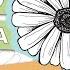 HOW TO DRAW A DAISY FLOWER Step By Step Tutorial