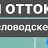 Венозный застой в спинномозговом канале Как восстановить венозный отток