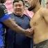 Горилла озверел мма Muradaov Mma кунфу Ufc курбон бокс файтинг бои бой