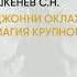 Обзор книги Джонни Оклахома или Магия крупного калибра автор Шкенёв С Н