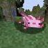 My Pet Axolotl Tried To Fly In Minecraft Shorts