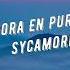 Nora En Pure Sycamore Extended Mix