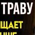 СТОИТ КОПЕЙКИ А ПОЛЬЗЫ НА МИЛЛИОН Целитель Юрий Андреев О 3 Китах Здоровья