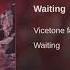 Vicetone Waiting Feat Daisy Guttridge Monstercat Release Audio Waiting