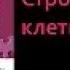 Биология 9 класс Строение клетки