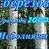 Я В ВЕСЕННЕМ ЛЕСУ ПИЛ БЕРЁЗОВЫЙ СОК КАВЕР КЛИП под МИНУСОВКУ КАРАОКЕ 2000 г исп А Лебедев Видео