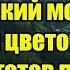 Крымский мост покажется цветочками В России готов проект за 2 триллиона