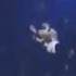 Timon And Pumbaa Interrupt 7 Niko And The Ways To The Stars