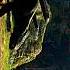 Live Action Trailer Of Howtotrainyourdragon Kido Aep