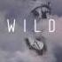 MONOGEM Wild Official Audio