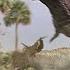 The Carnotaurus Attack No Background Music Disney S Dinosaur